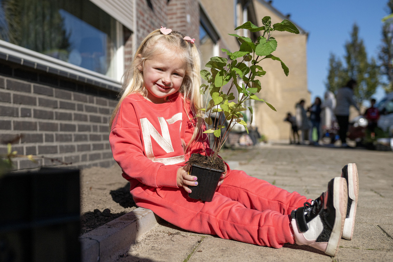 Aanplanten geveltuintjes Runstraat