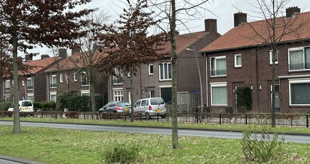 Roofvogelbuurt