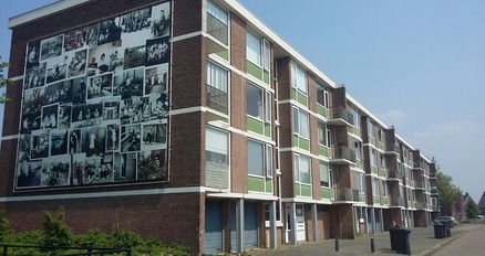 Herstructurering Gestelse Buurt