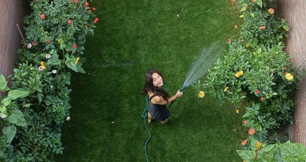 Eigenlijk heb ik nu gewoon een grote pluktuin Eigenlijk heb ik nu gewoon een grote pluktuin
