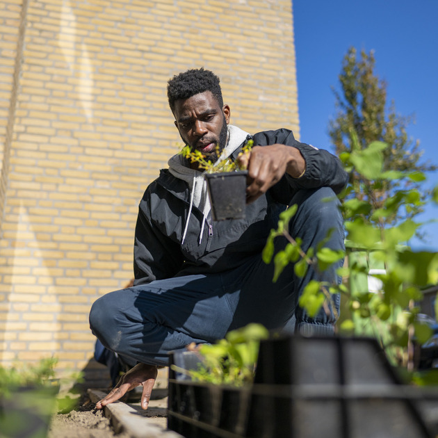 Aanplanten geveltuintjes Runstraat