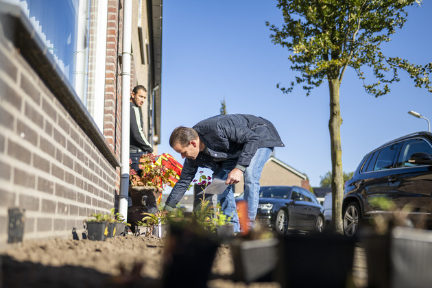 Aanplanten geveltuintjes Runstraat