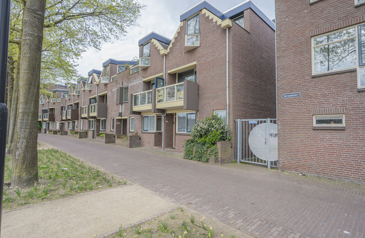 Groot Onderhoud Koornstraat / Terwaenen