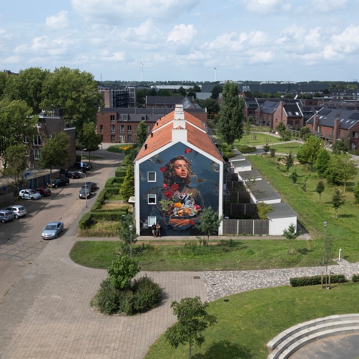 Museum Murals: Kunst aan de Marconistraat (Fotografie Studio Giftig)